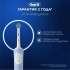 Электрическая зубная щетка Oral-B Vitality Pro, насадки для щётки: 1 шт, цвет: голубой [80756780]